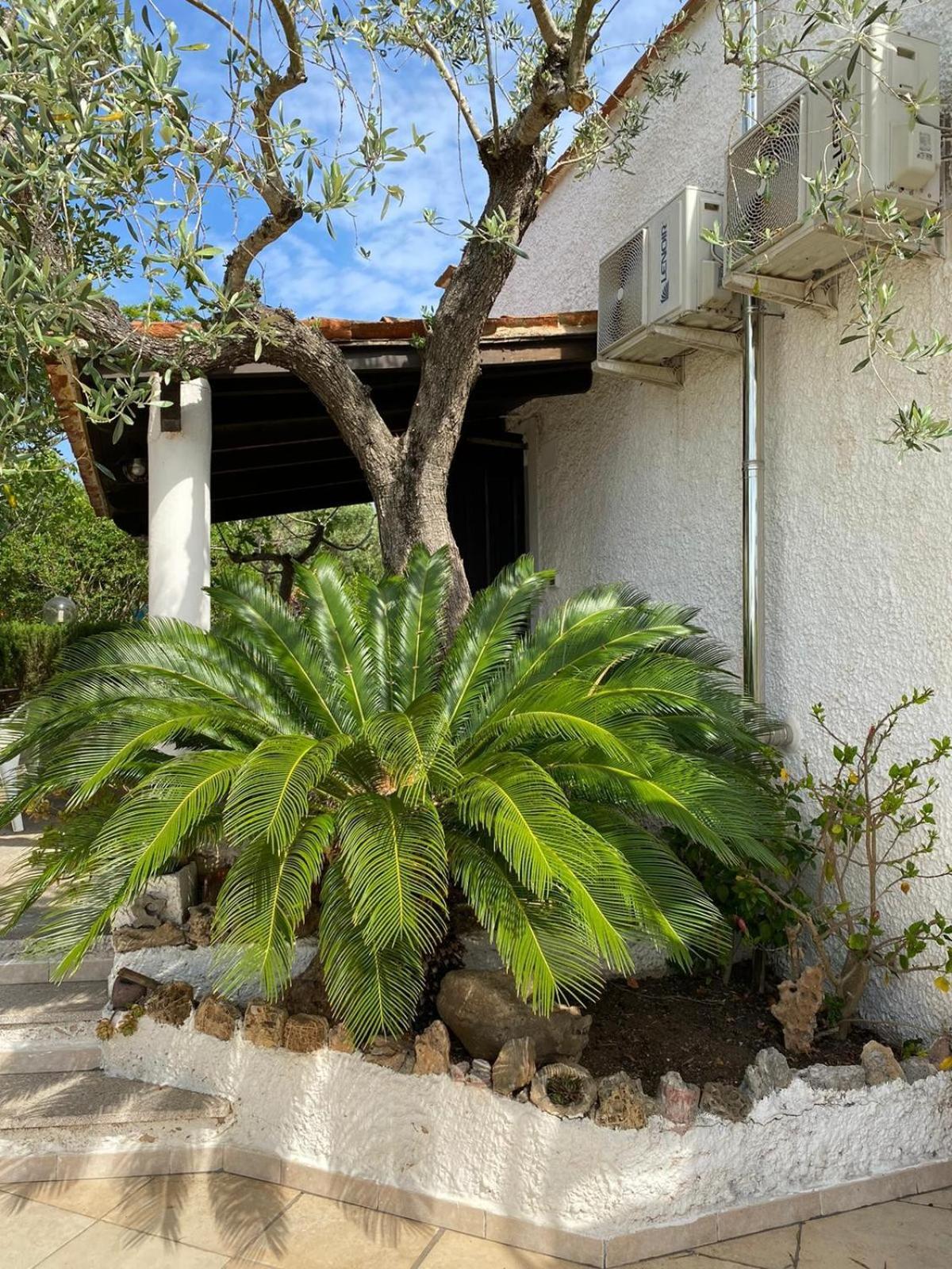 Domo Angheleda - Alghero Casa Indipendente Vicino Al Mare Ngoại thất bức ảnh