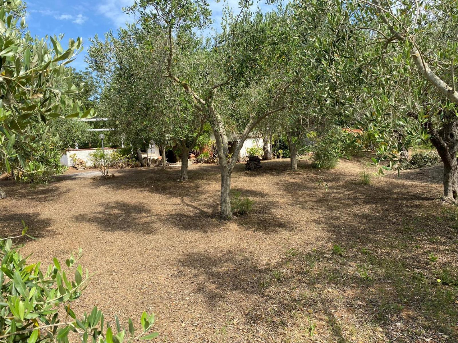 Domo Angheleda - Alghero Casa Indipendente Vicino Al Mare Ngoại thất bức ảnh